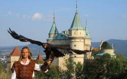 Sokoliari Aquila Bojnice